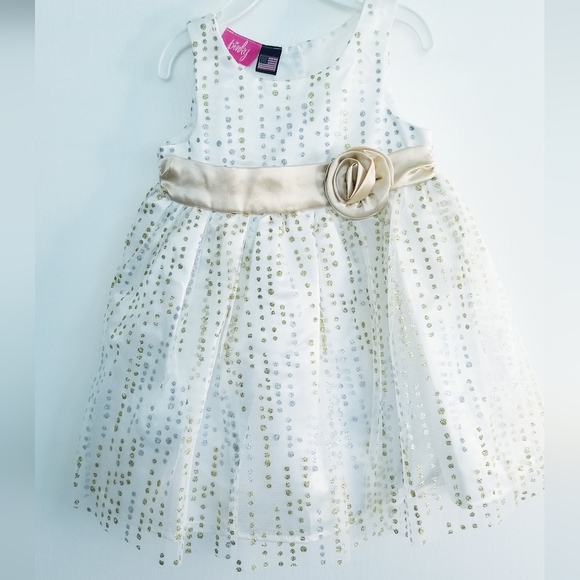 NEW Baby Girl's Sparkly Formal Dress NEW Size 12M - Picture 1 of 14